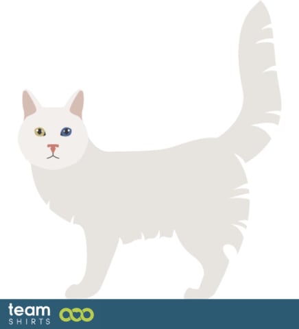 vecteur stock 10333441TurkishAngorapng0695