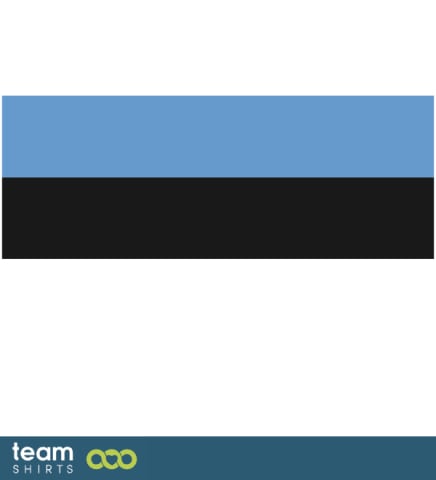 ESTONIA FLAG