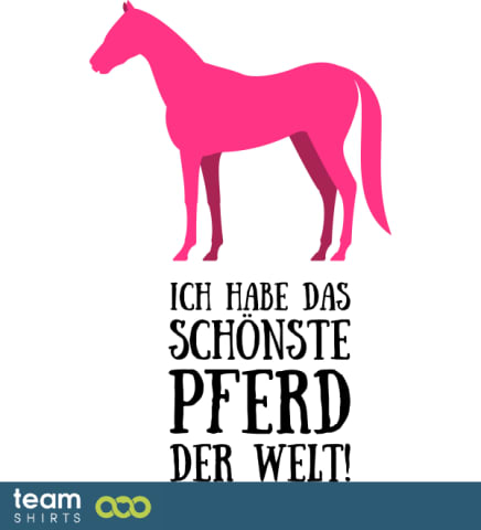 Schönstes Pferd 2