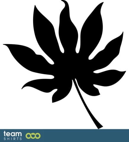 Palme blad