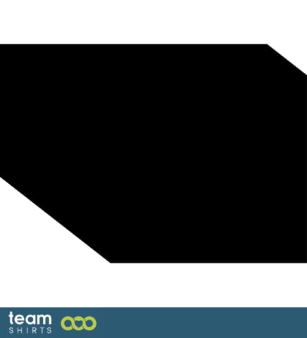 10 eagle vectorstock 2976779