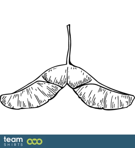 Låda äldre blad