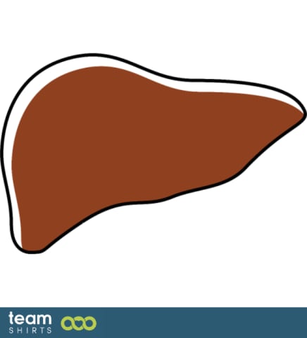 Liver