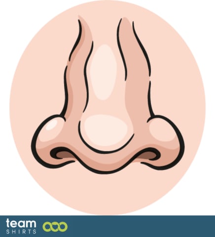 Nose