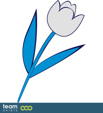 Tulipan