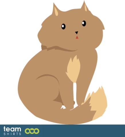 furry cat