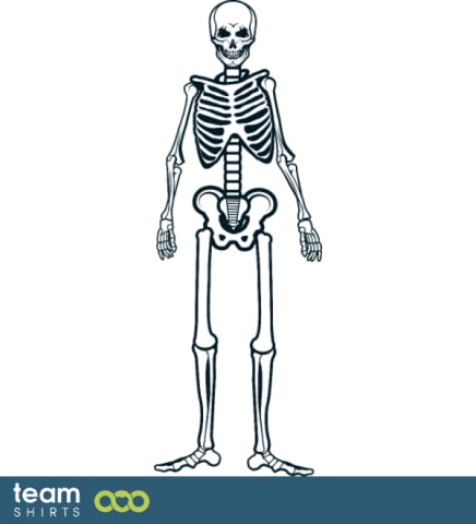 Menschliches Skelett