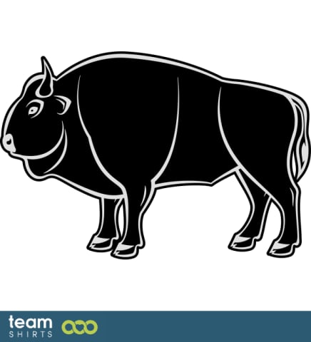 Bison