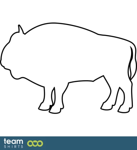 Bison