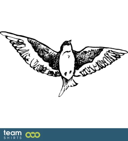 swallow
