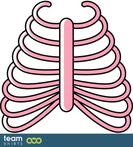 Rib cage
