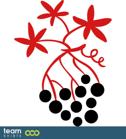 wine grapes
