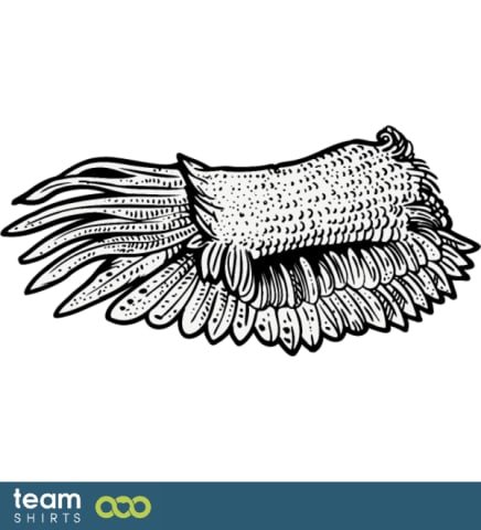 Wing