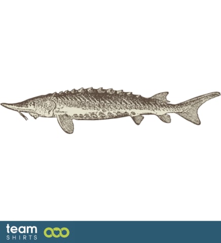 sturgeon