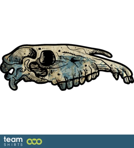 horse skull