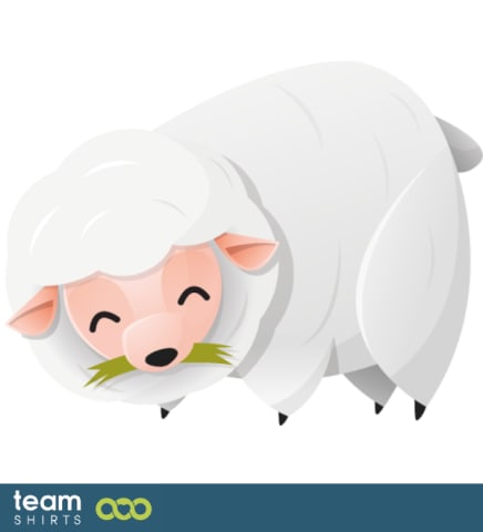 sheep