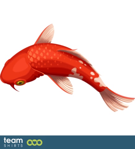 koi