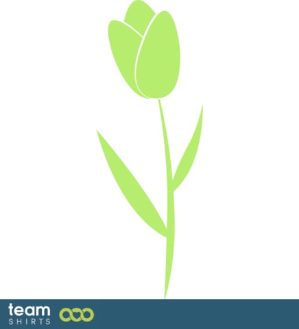 Tulip