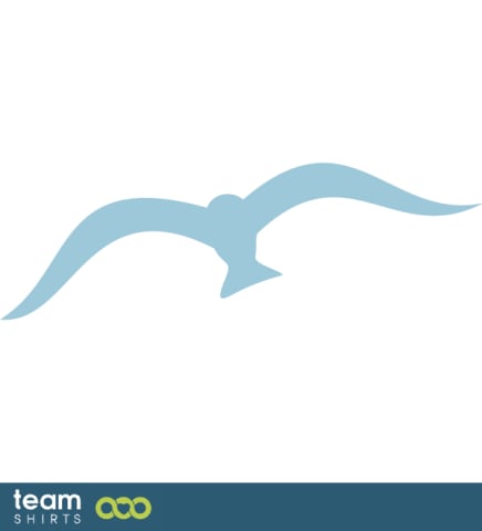 seagull