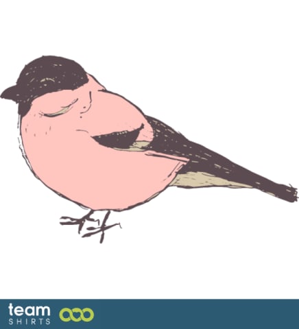 Robins