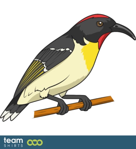 bird