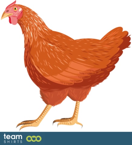 Realistic chicken