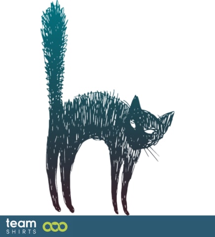 Witches cat