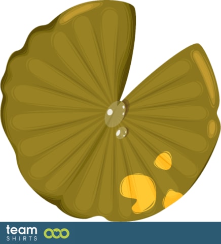 Lotus leaf