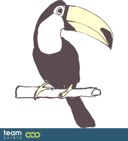 Toucan