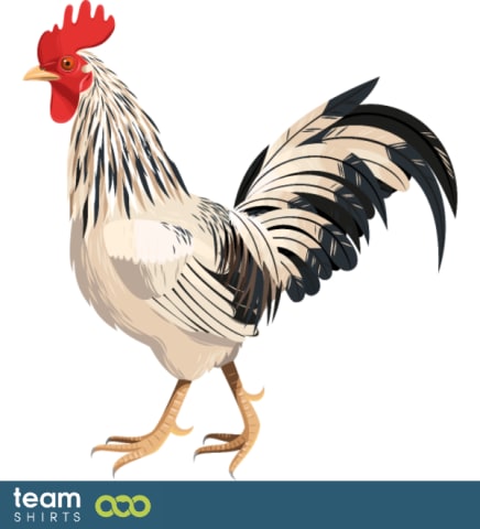 Rooster