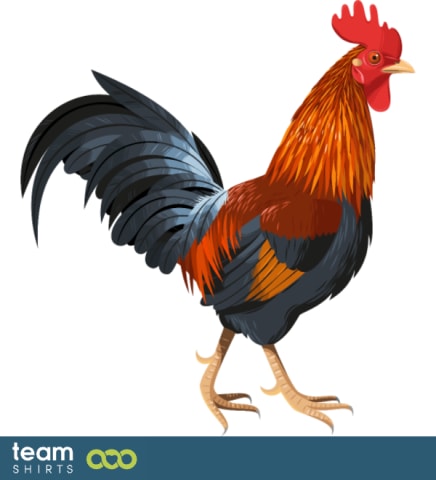 Rooster