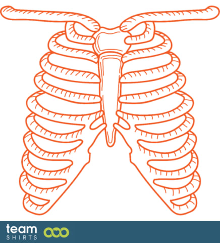 renf Skeleton