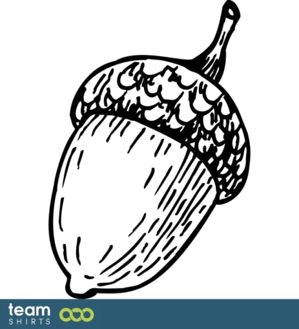 Acorn