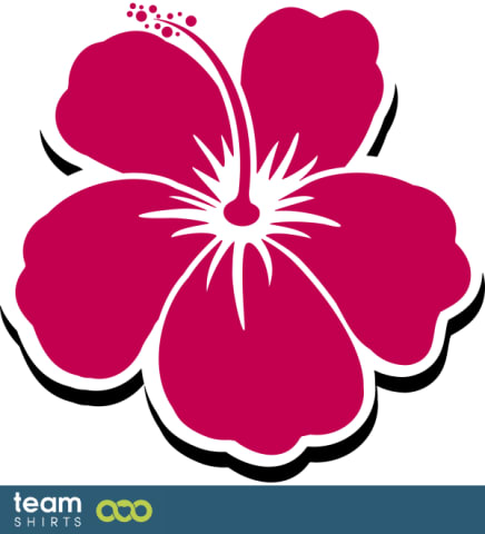 Hawaiian lei