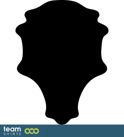 Shield