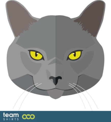 Cat face