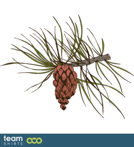 pine branch