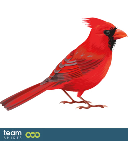 cardinal