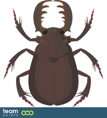 Bug