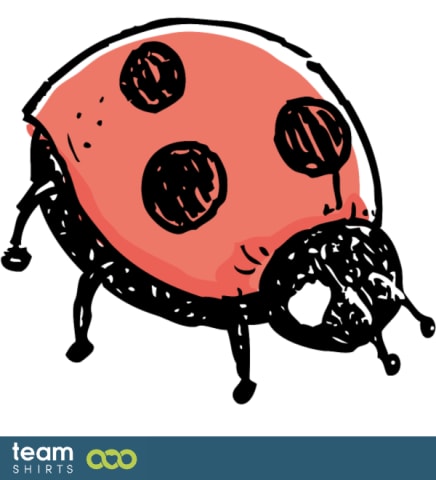 Ladybug