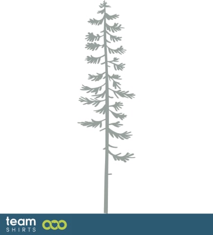 pine tree