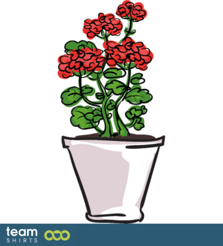 indoor plant