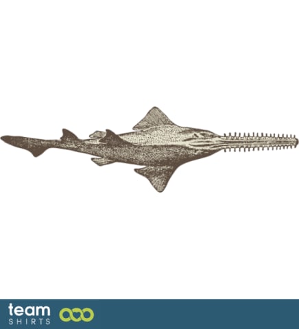 saw fish