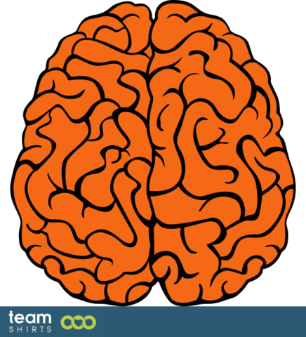 Brain