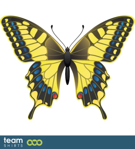 Swallowtail butterfly