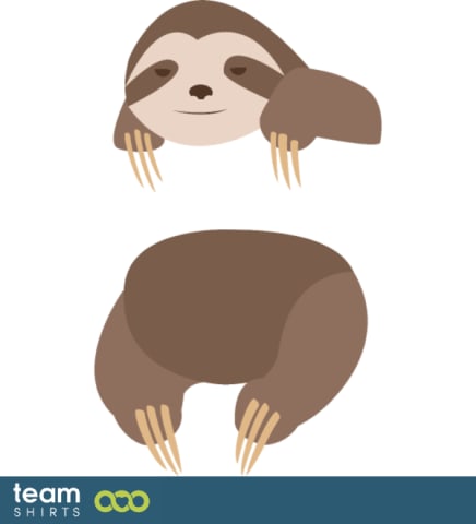 hanging sloth