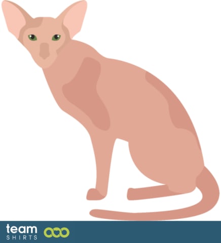 Vectorstock 10334014OrientalShorthairpng0148