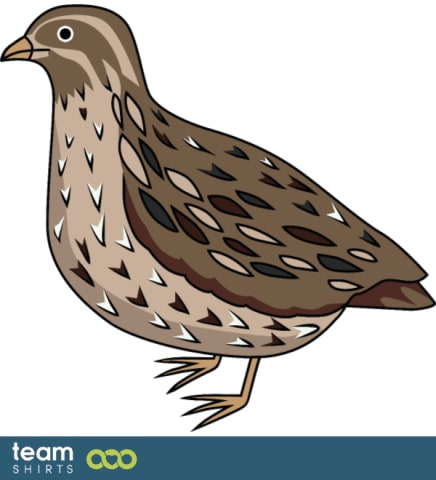 quail