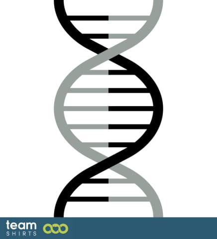 DNS spiral