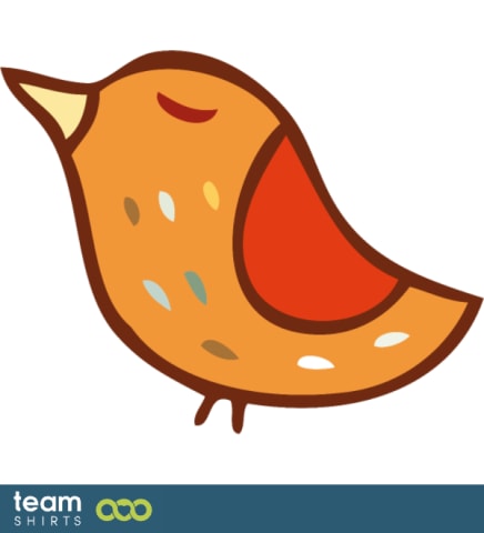 little bird